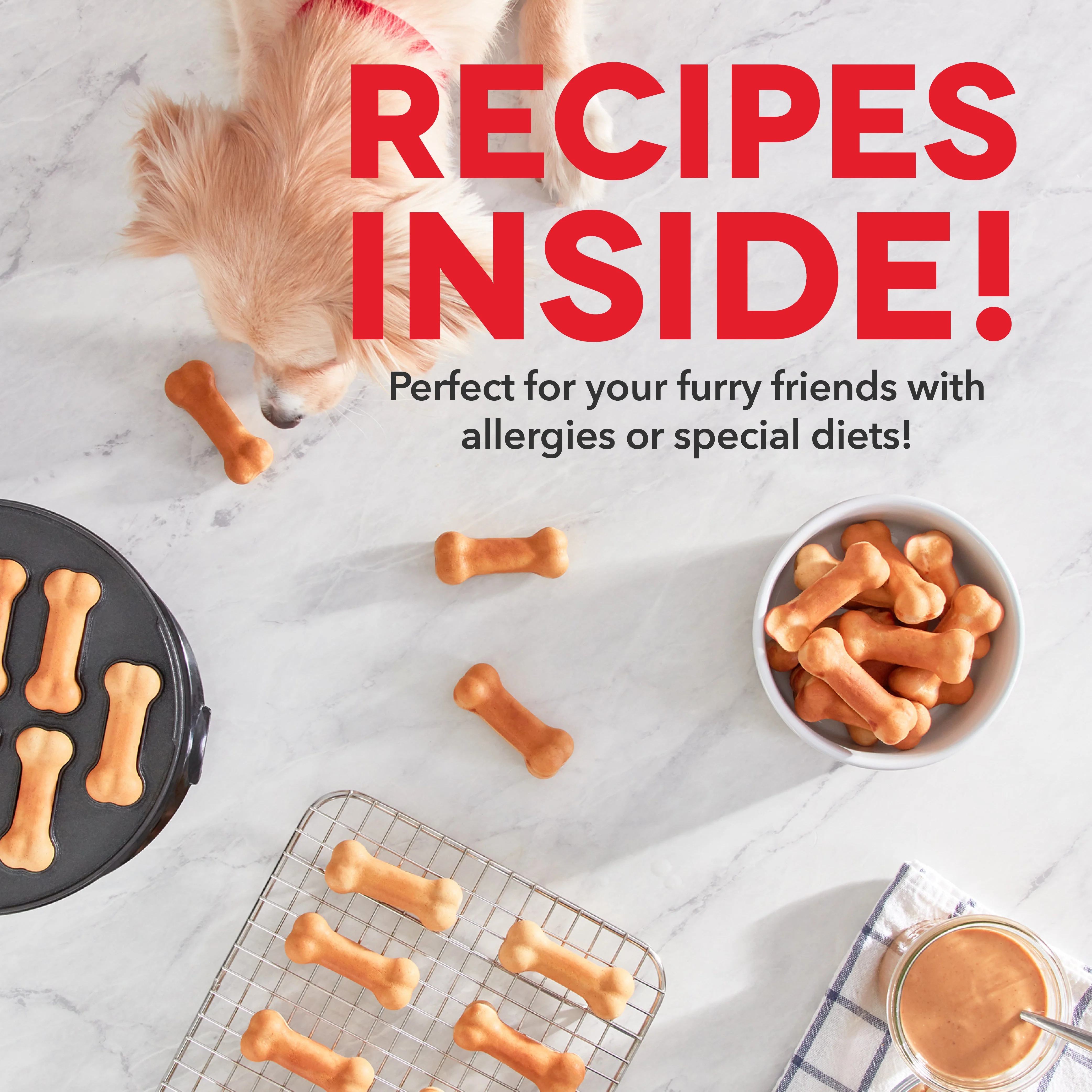 Express Dog Treat Maker - Image 3