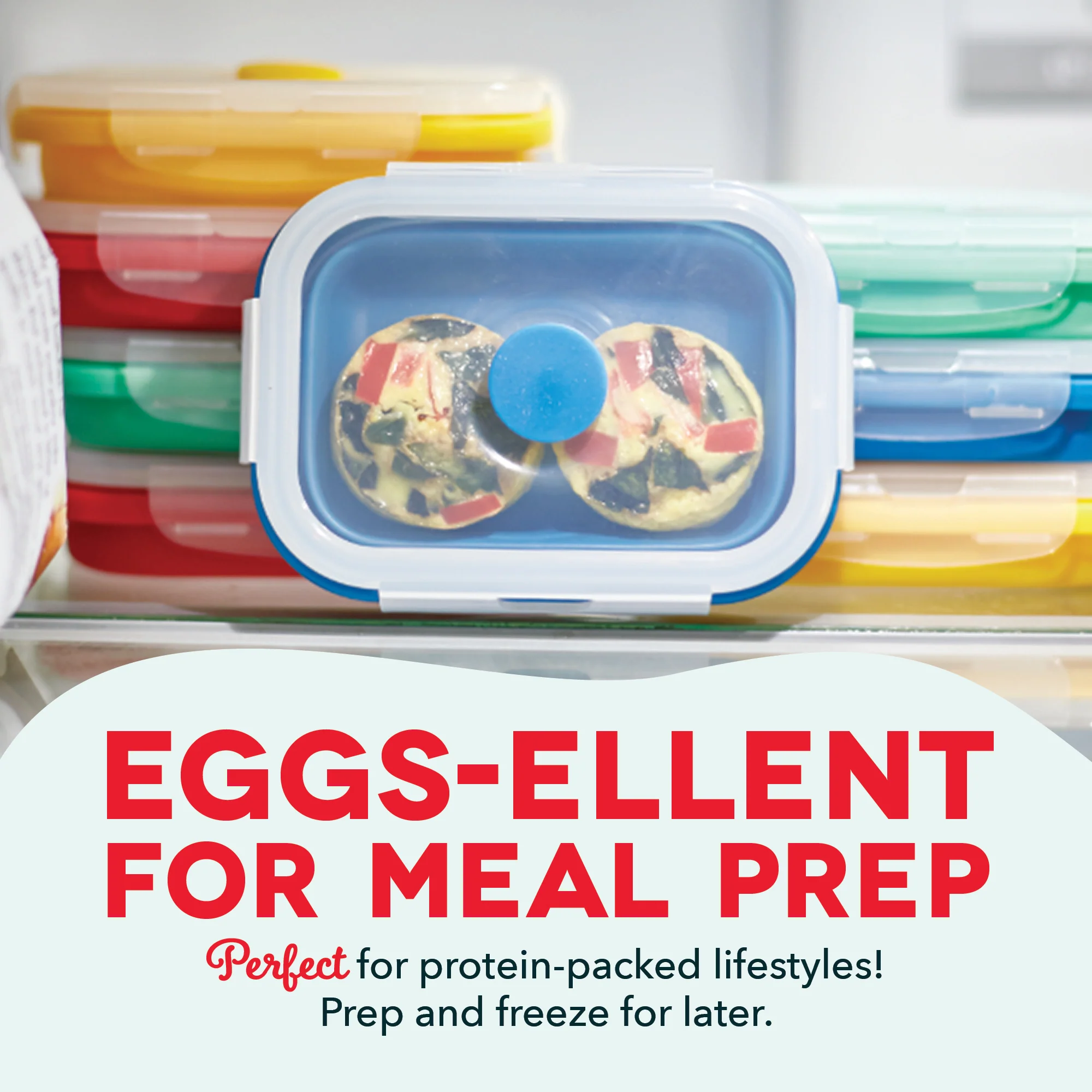 Egg Bite Maker - Image 3