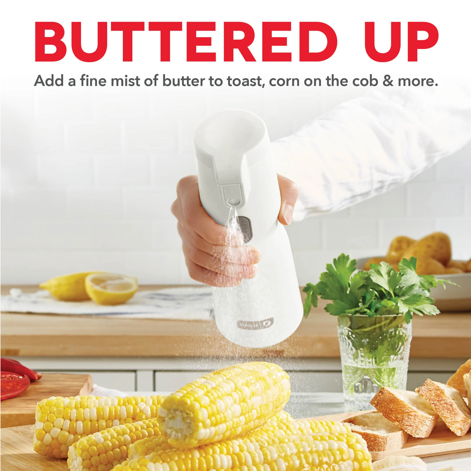 Electric Butter Sprayer - Image 2